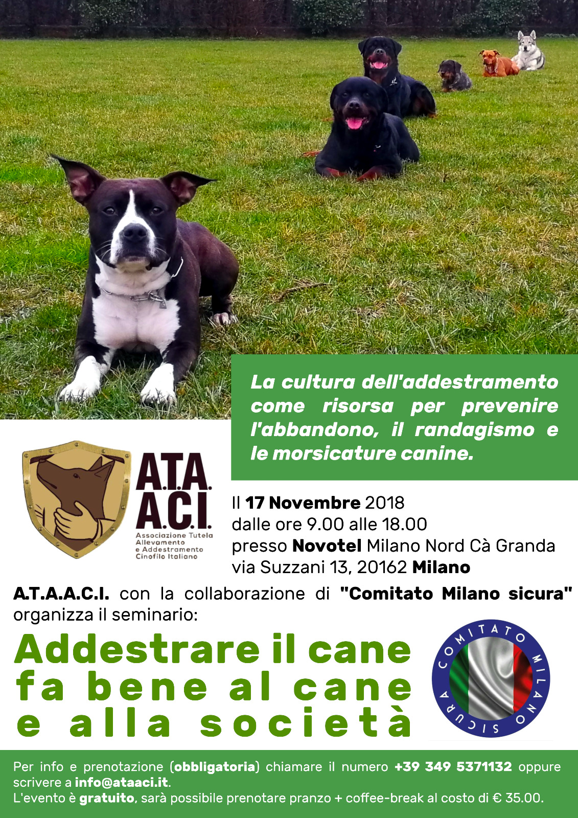 Incontri a paullo Incontri a paullo